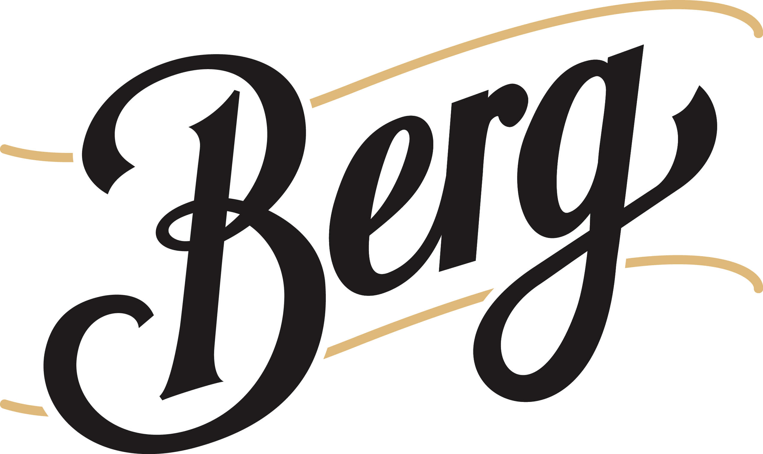 Berg Schriftzug Auf Hellem Hintergrund Cmyk 0